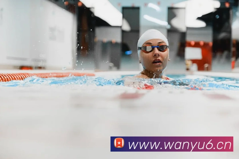 hth华体官网登录入口平台生态图